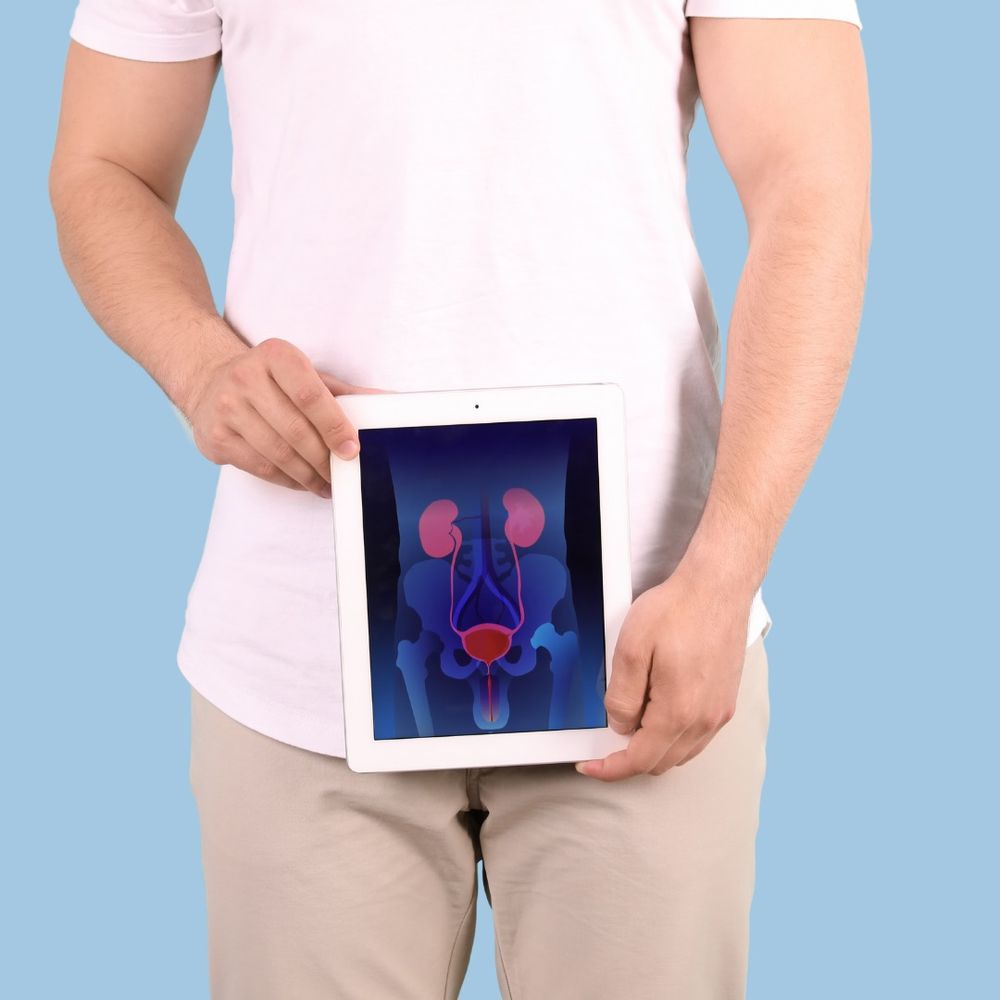 WhatsApp Image 2024-11-01 at 10.39.46.jpeg