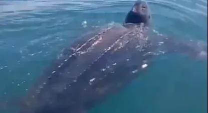 El Observador | 1707077093526.webp