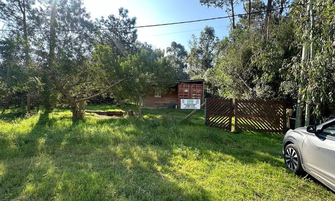 Fain remata terreno con mejoras en Punta Colorada.&nbsp;