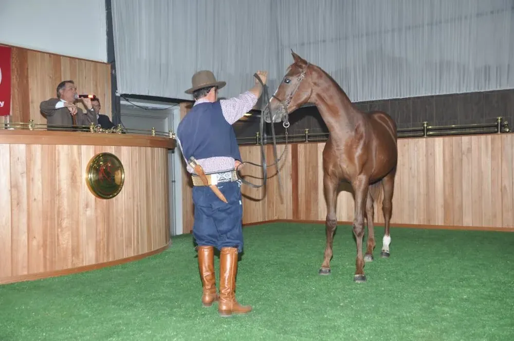 Remató Zambrano & Cía