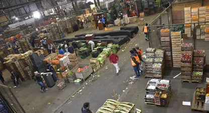 uam: que opinan los productores que venden en el mercado modelo
