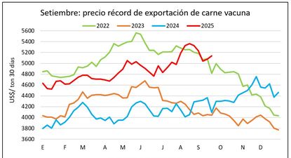 Novillos y carne vacuna exportada en niveles elevados.