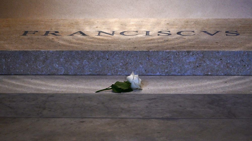 Una única rosa blanca yace sobre la lápida con el nombre de Francisco en latín.