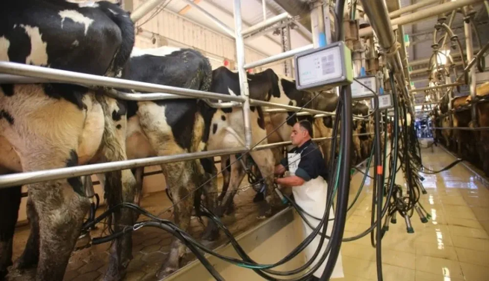 La producción lechera tiene ahora un nnuevo protagonista, Lactalis que apuesta a crecer