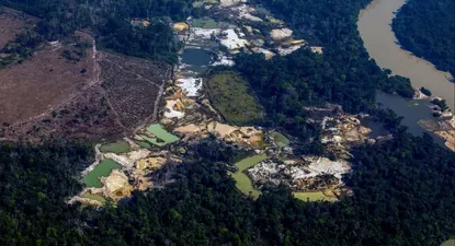 la amazonia perdio medio millon de kilometros cuadrados en 18 anos