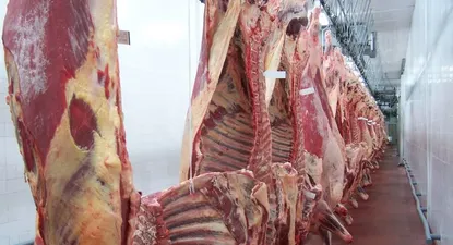 Estudio encargado por frigoríficos alerta suba de exportación en pie