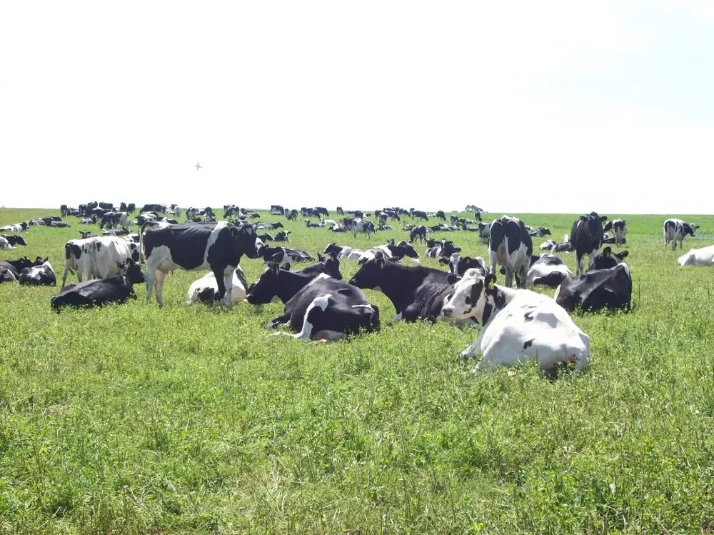 El clima está dando una buena mano a los productores