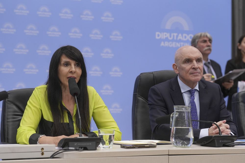 Lorena Villaverde, presidenta de la Comisión de Energía, y José Luis Espert, titular de Presupuesto.
