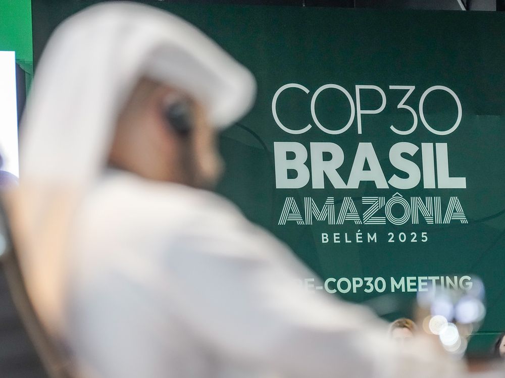 COP30, en Brasil, una instancia de alta relevancia.