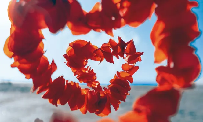 El amor influye en la posibilidad de contraer enfermedades respiratorias