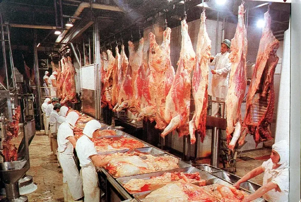 Movida en los frigoríficos brasileños