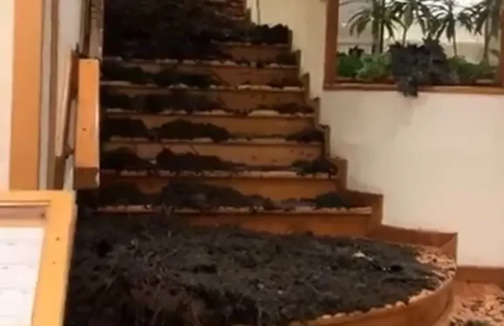 Alud de barro en el hotel Bustillo