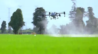 Los drones se pueden utilizar para fines productivos, como por ejemplo fumigar cultivos.
