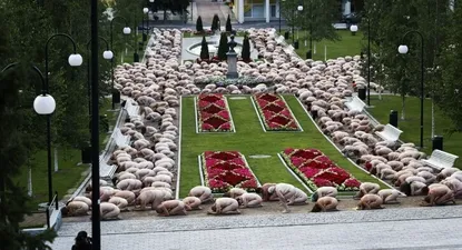 El Observador | 1689459517111.webp