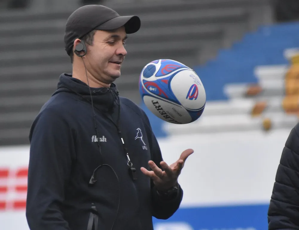 Esteban Meneses, DT de Los Teros