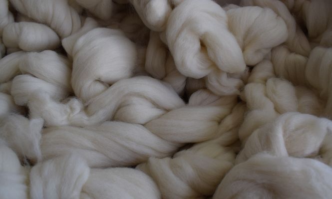 Lanas, producto clave en la ovinocultura uruguaya.