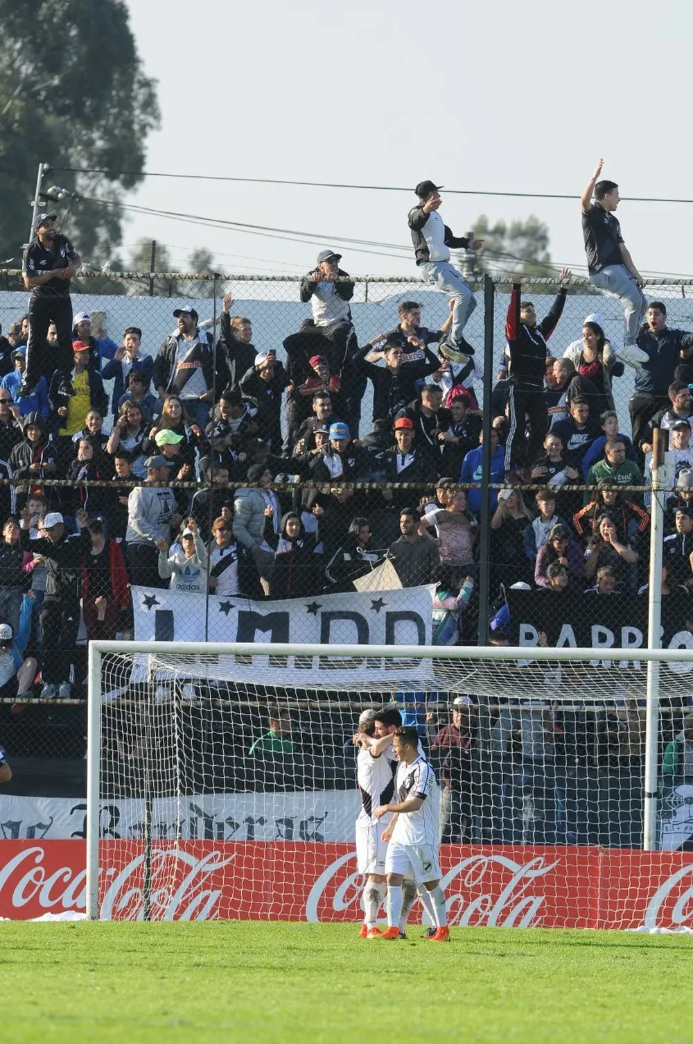 El festejo de Danubio