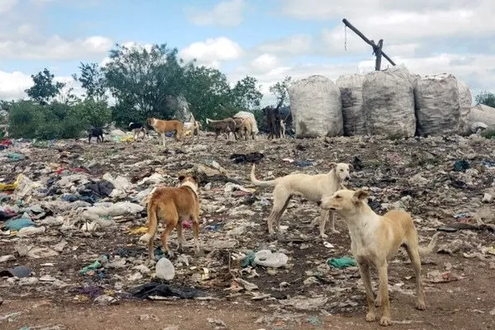 Vertedero municipal de basura próximo a Melo.