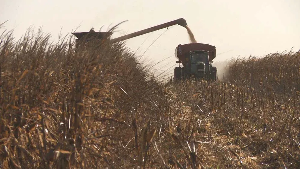 La película retrata las distintas caras de la agroindustria. Desierto Verde
