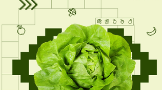 Chatbot al servicio de los uruguayos, para que ingieran más porciones de frutas y verduras, útil ello para una mejor salud.