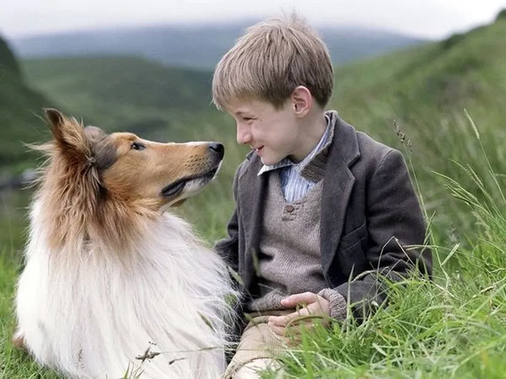 Lassie 2005