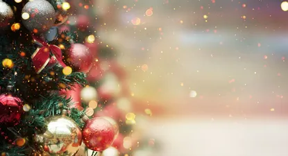 fiestas navidenas: mira los servicios afectados y sus horarios especiales