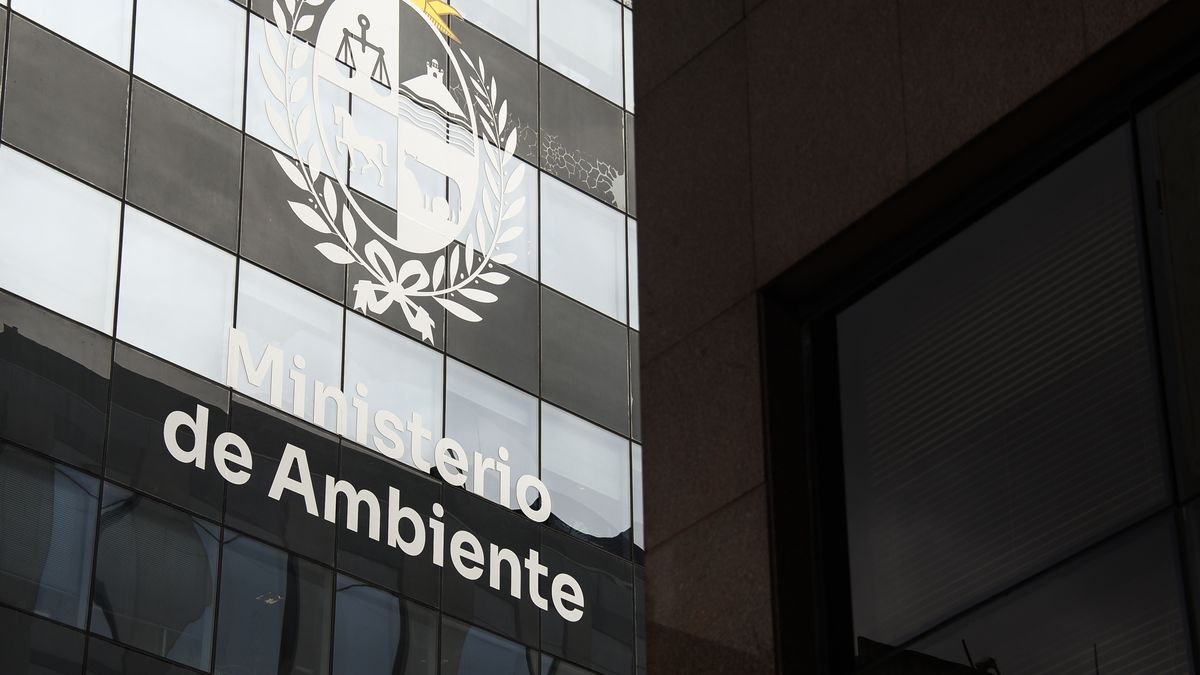 Imagen noticia completa