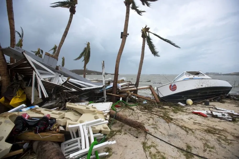 0020111138.webp