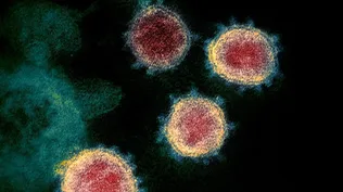Imagen del nuevo coronavirus