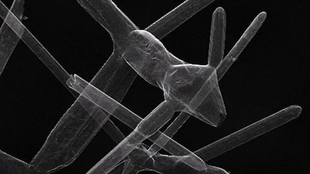 El aerografito soporta 40.000 veces su propio peso; puede comprimirse 1.000 veces su tamaño y volver a la forma original sin romperse