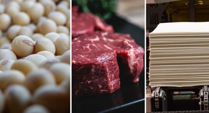 Soja, carne bovina y celulosa.