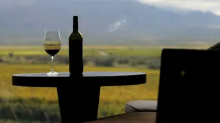 Tres vinos uruguayos fueron distinguidos entre los mejores del mundo