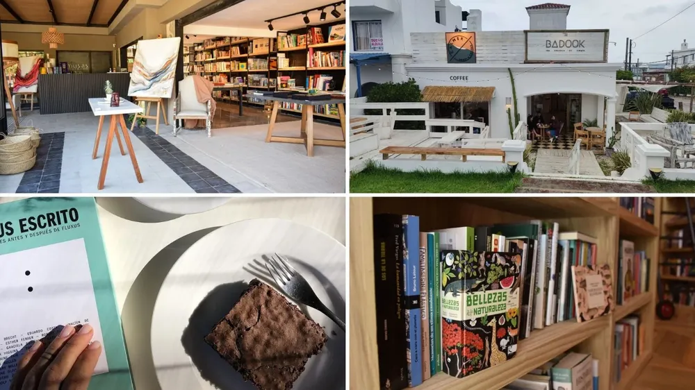 3 Musas, Calmer, El Tesoro y Rizoma.