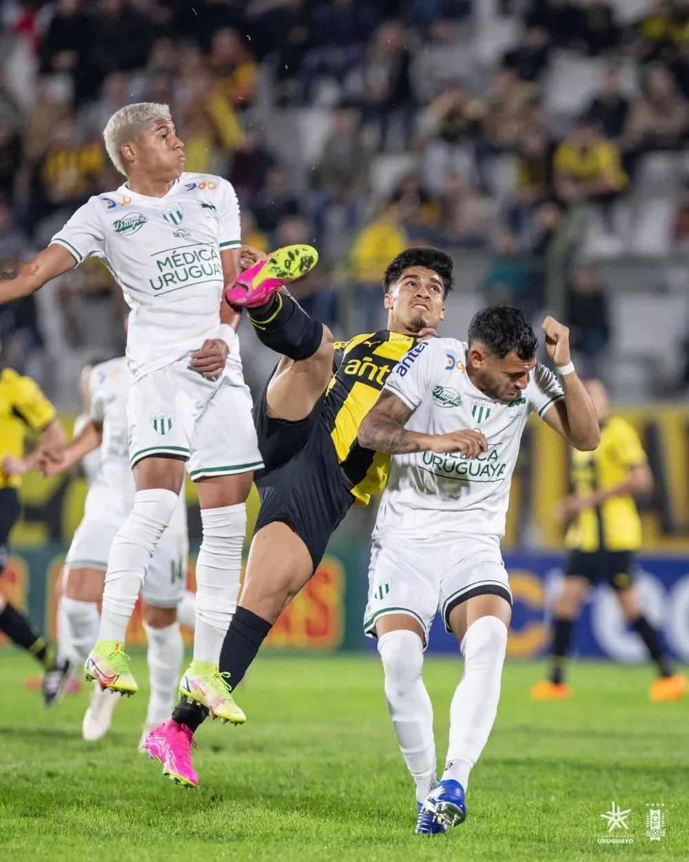 Arezo no tuvo ningún peso en el partido