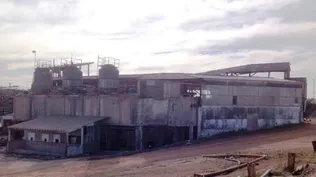 El predio donde se ubica la planta industrial de la ex-Metzen y Sena abarca 29 padrones