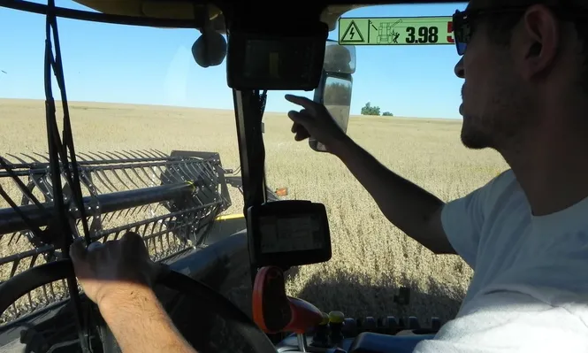 Cultivos de verano: la cosecha está demorada, a la espera de días secos, y eso preocupa a los productores.