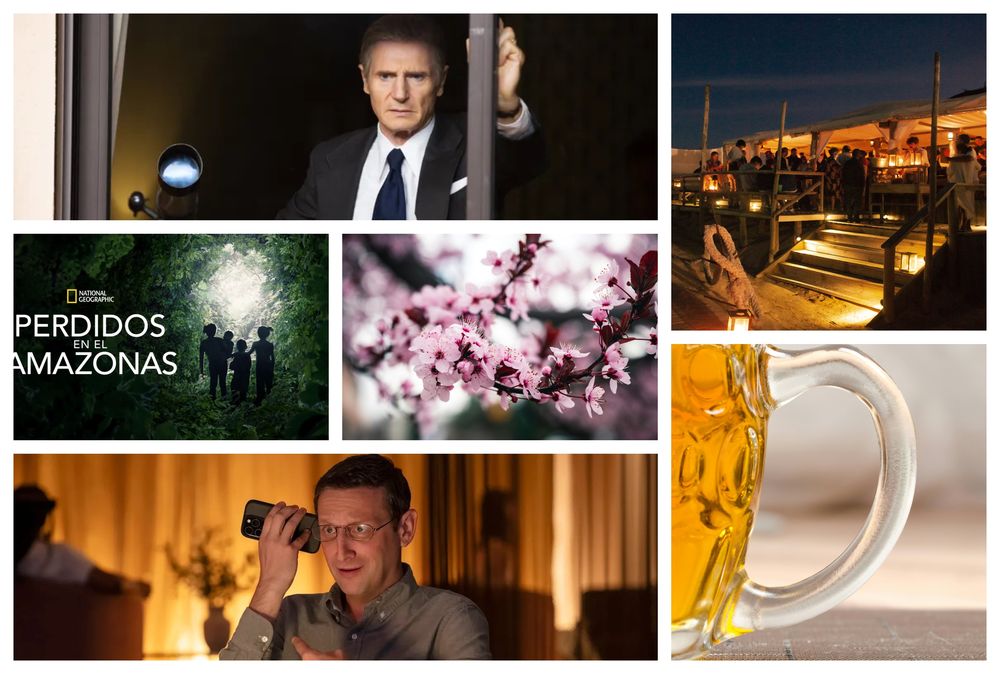 picnic 15 de octubre