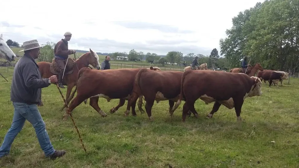 Hubo muy buenas toradas en la pista fronteriza