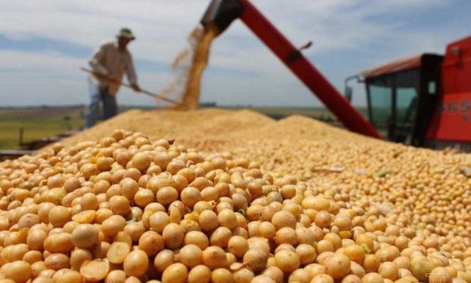 Desde el cierre del cupo de US$ 7.000 millones, el régimen de retenciones vuelve a la situación previa al decreto 682/2025.