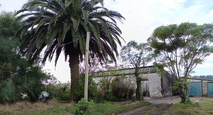 Casa de Cerro Largo donde ocurrió el incendio y donde encontraron a la víctima