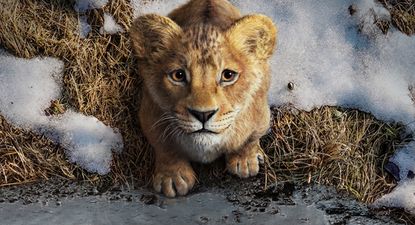 Mufasa se puede ver en cines uruguayos