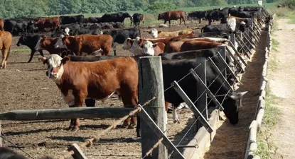 El agro se encamina a cerrar un sólido desempeño en 2022.