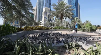 El Observador | 0017517574.webp