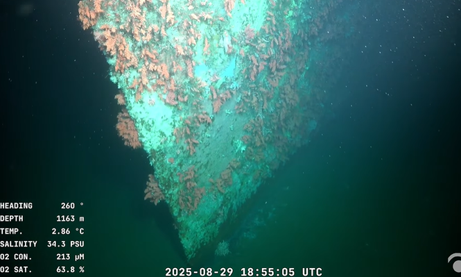 EN VIVO: El Falkor localizó al ROU Uruguay DE-1, un barco hundido en 1995