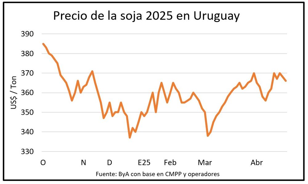Granos: por soja las referencias para Uruguay estuvieron en US$ 370 durante la semana.