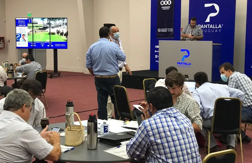 Pantalla Uruguay remata ahora desde el Parque Tecnológico del LATU.