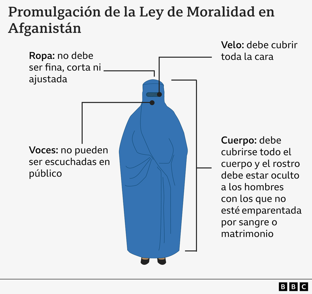 https://www.bbc.com/mundo/articles/c8rxm57gk4yo