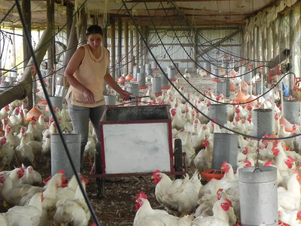 Mónica Umpiérrez, façonera en Santa Rosa