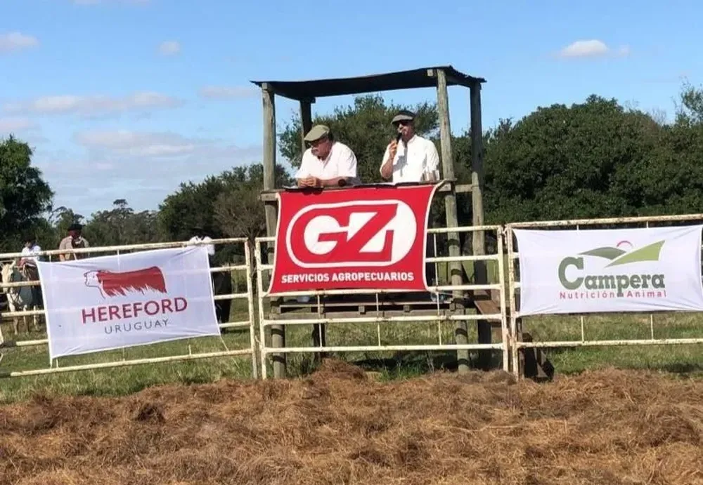 El remate se hará este viernes en la cabaña.