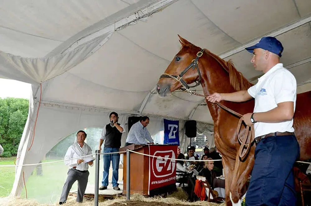 El remate se hará este sábado en el haras